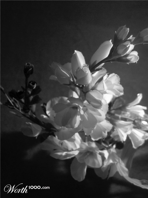 Photography by Reconban