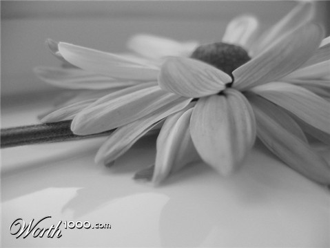 Photography by annerkin