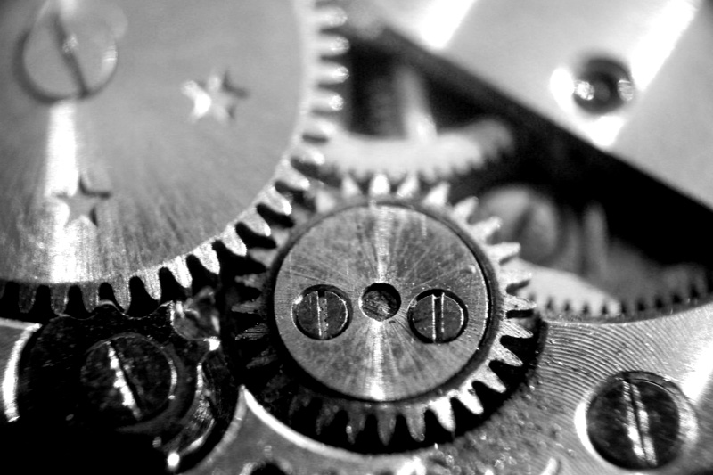 Photography by chippyRo for DesignCrowd (Community Contests) | Design #9073536