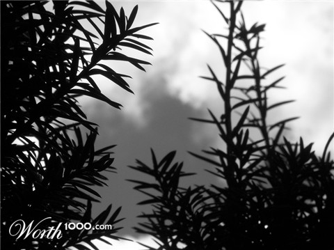 Photography by waldizzle