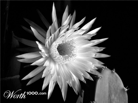 Photography by vgmn1956