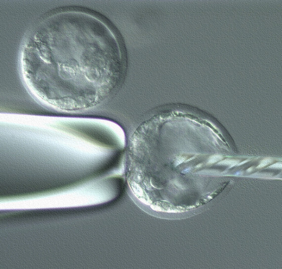 Diseño de Photoshop por Budmiester para DesignCrowd (Community Contests) | Diseño #9072251