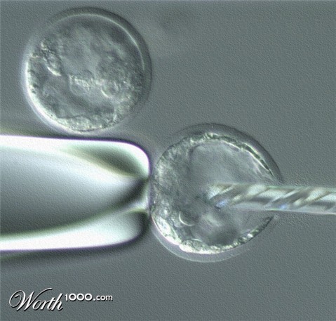 Photoshop Design by Budmiester