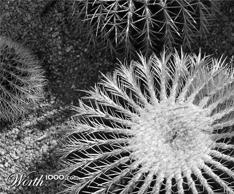 Photography by clloyd