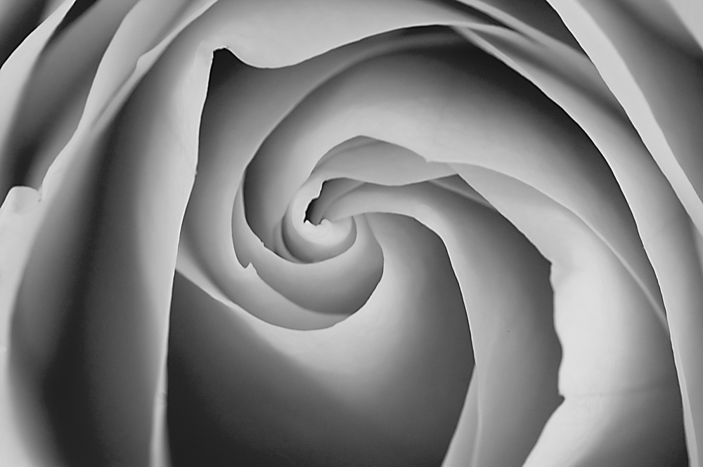 Fotografie von stueysnail für DesignCrowd (Community Contests) | Design #9071797