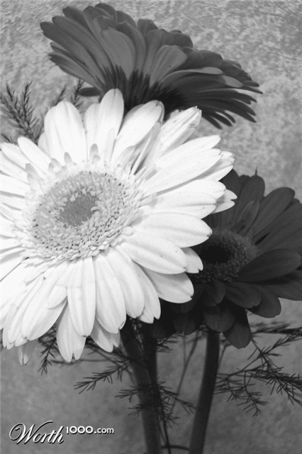Photography by slipshod