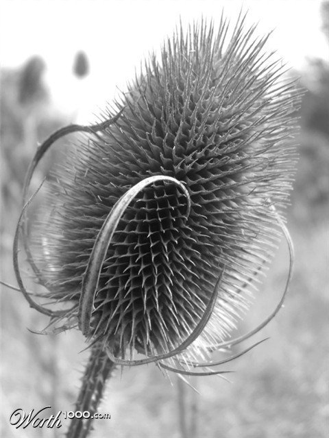 Photography by Flibble