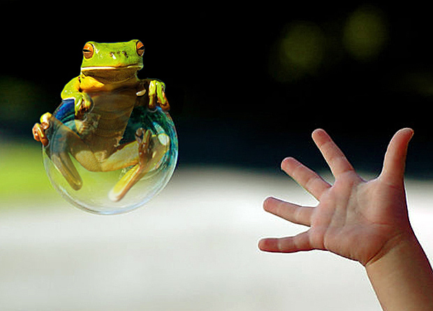 Design Photoshop par Anabole pour DesignCrowd (Community Contests) | Design #9067263