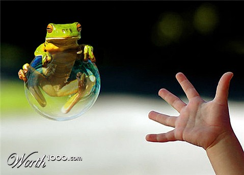 Photoshop Design by Anabole