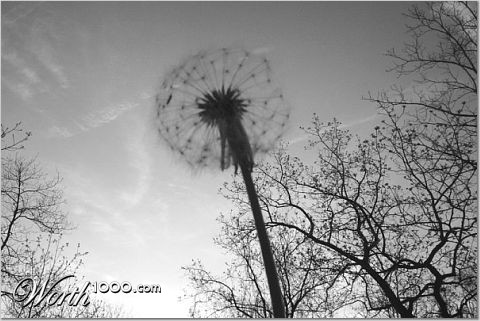 Photography by brooke