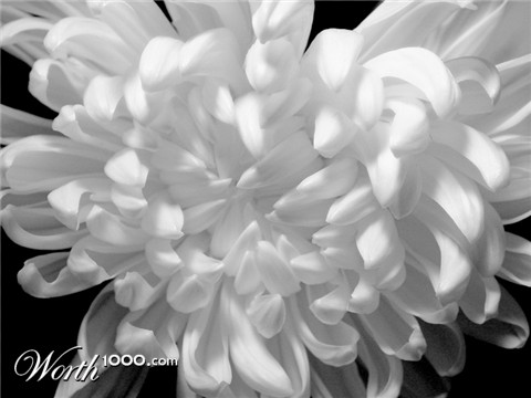 Photography by hypnotode