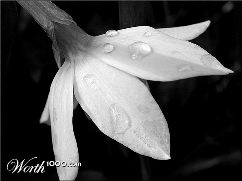 Photography by BBBastet