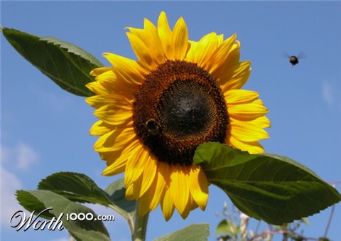 Photography by GinniFlanders