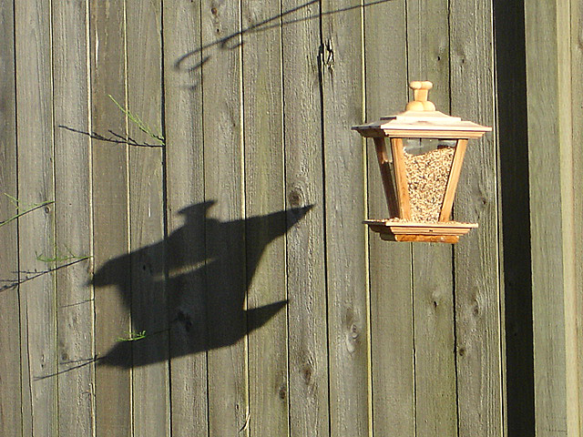 Photography by Ron Miller for DesignCrowd (Community Contests) | Design #9070797