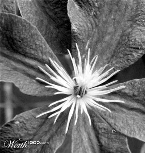 Photography by sheiser