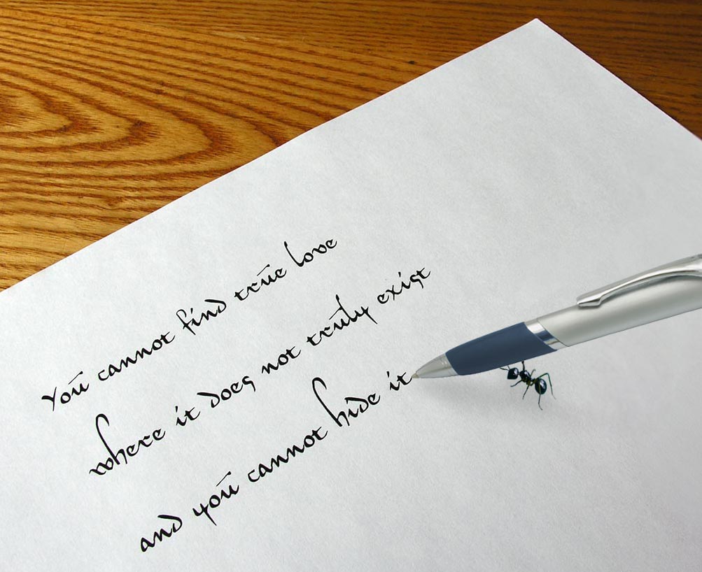 Photoshop-Design von ewarning für DesignCrowd (Community Contests) | Design #9067283