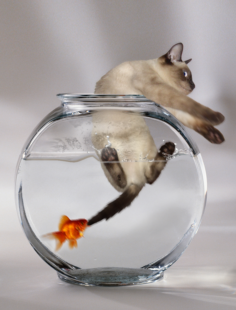 Photoshop Design by a17rwk for DesignCrowd (Community Contests) | Design #9067338