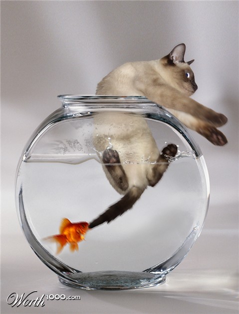 Photoshop Design by a17rwk