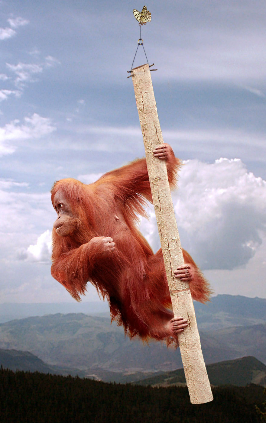 Photoshop Design by TiredTom for DesignCrowd (Community Contests) | Design #9067355