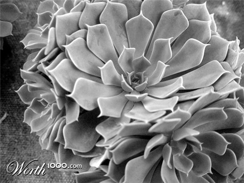 Photography by mehere