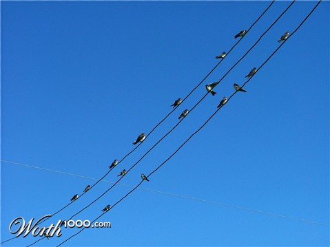 Photography by ADROALDO