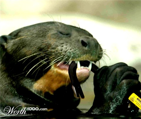 Photoshop Design by jdbeckers