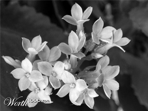 Photography by AmaElia