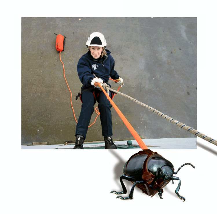 Design Photoshop par DiffDrummer pour DesignCrowd (Community Contests) | Design #9067373