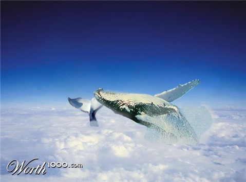 Photoshop Design by ZelosLover