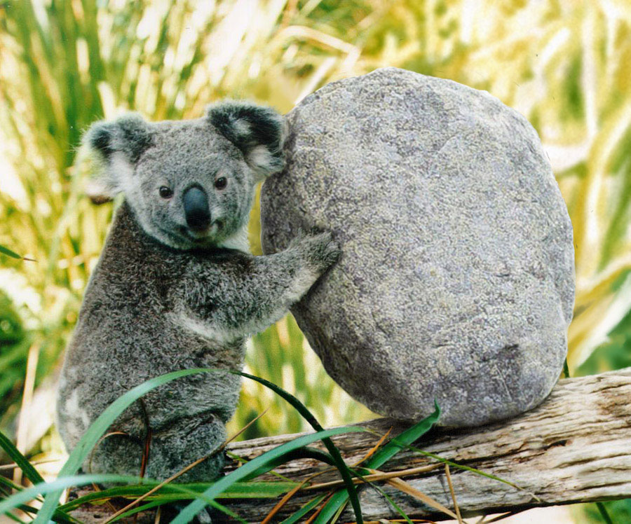 Photoshop Design by Nesehehame for DesignCrowd (Community Contests) | Design #9067414