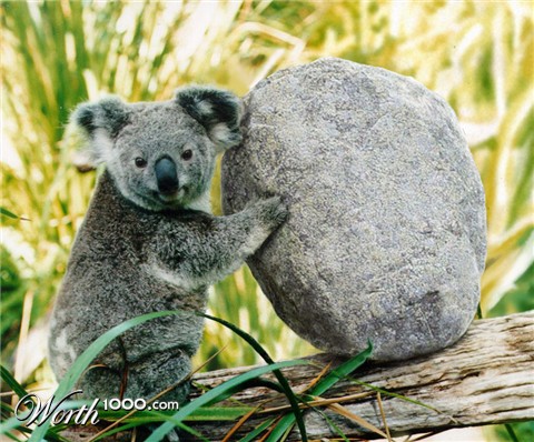 Photoshop Design by Nesehehame