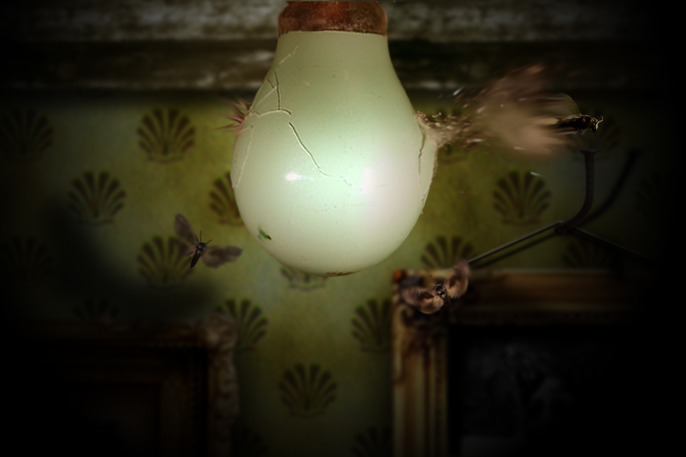 Design Photoshop par AlanSmithee pour DesignCrowd (Community Contests) | Design #9067426