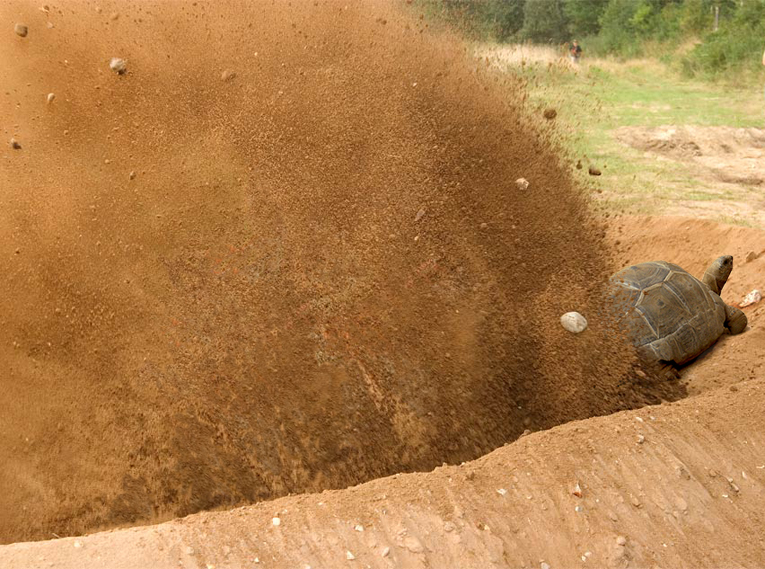 Design Photoshop par Dziedzic pour DesignCrowd (Community Contests) | Design #9067421