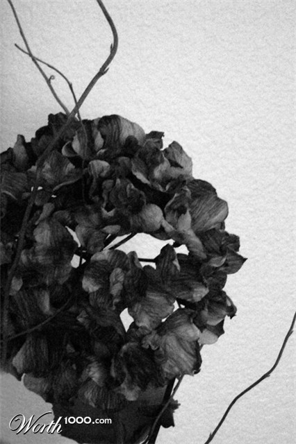 Photography by nowheregirl