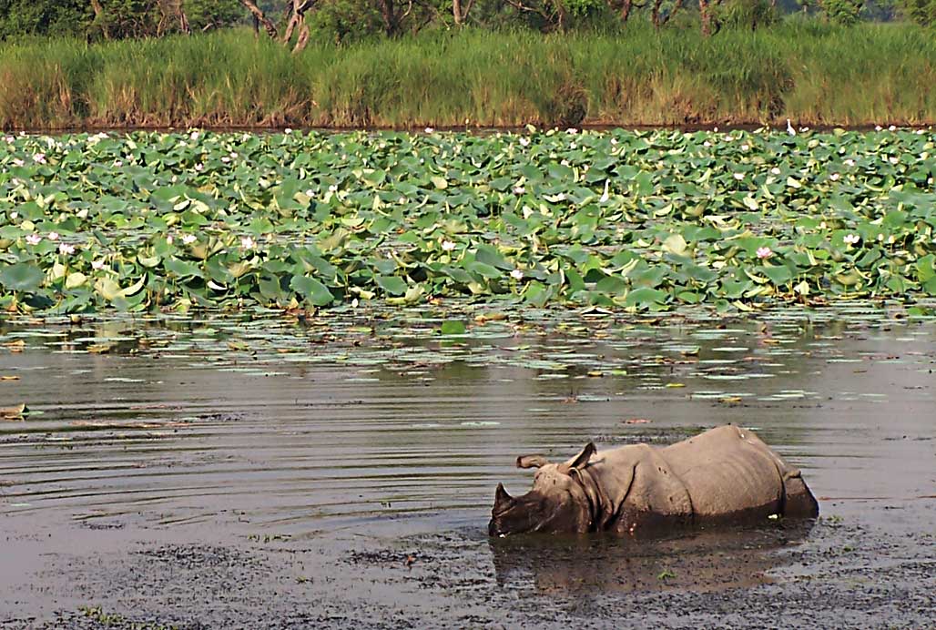 Fotografía por vgmn1956 para DesignCrowd (Community Contests) | Diseño #9076276