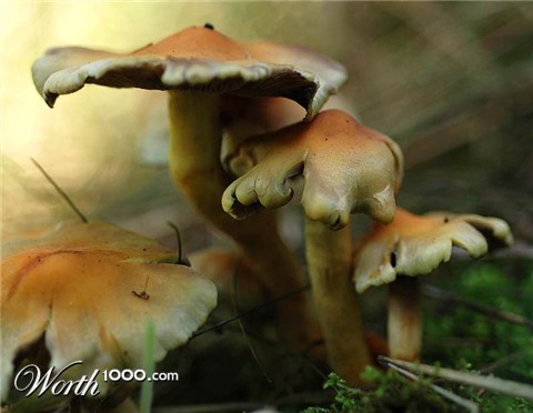 Photography by Marian