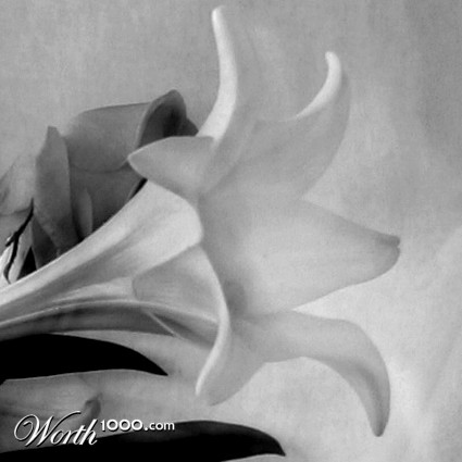 Photography by henkklund