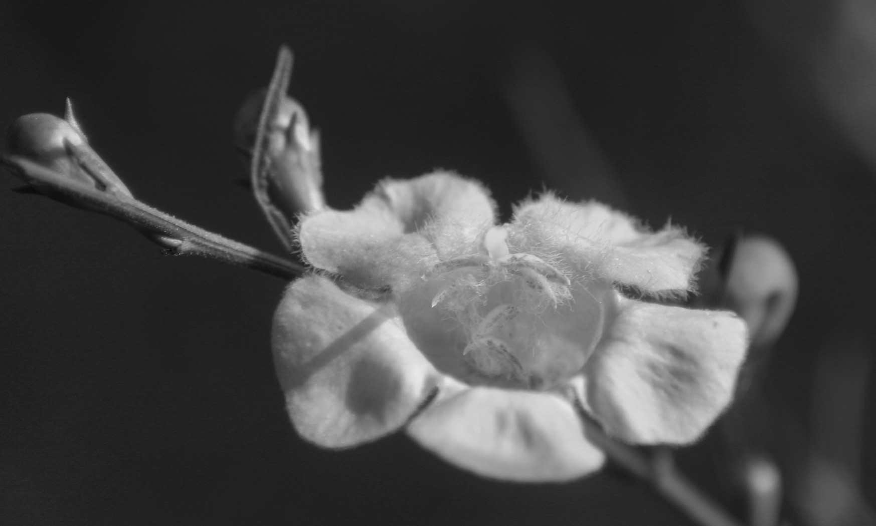 Photography by sluggo40 for DesignCrowd (Community Contests) | Design #9061895