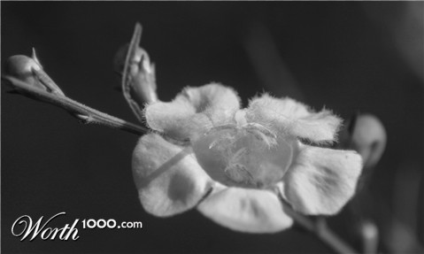 Photography by sluggo40