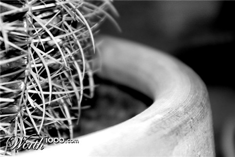 Photography by Luvianacaro