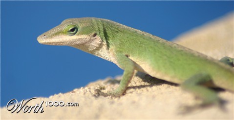 Photography by sluggo40