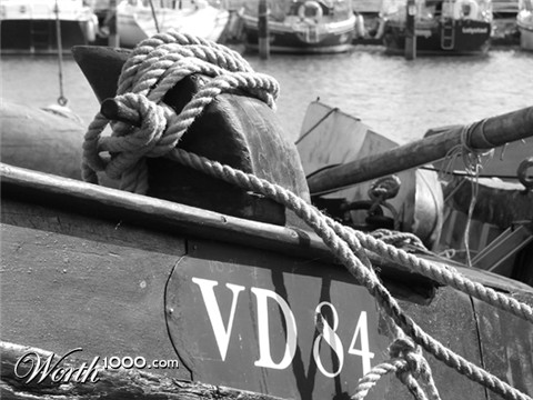 Photography by chichoslg