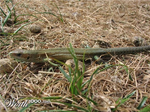 Photography by KerrazyPyRo