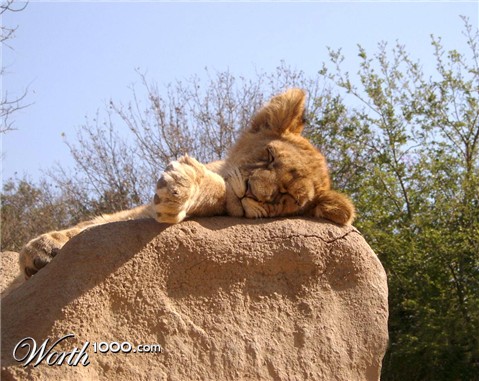 Photography by AdamWel