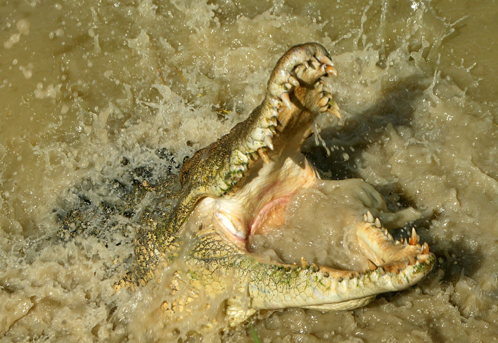 Photographie par wrathe pour DesignCrowd (Community Contests) | Design #9076296