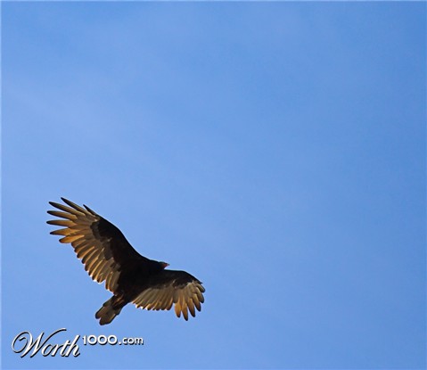 Photography by crgnjul