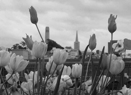 Fotografie von klxner für DesignCrowd (Community Contests) | Design #9061852