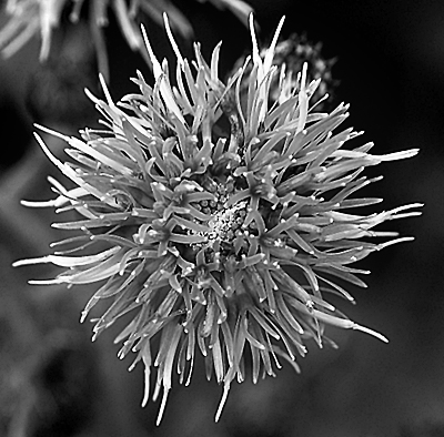 Photography by StefanS for DesignCrowd (Community Contests) | Design #9061893