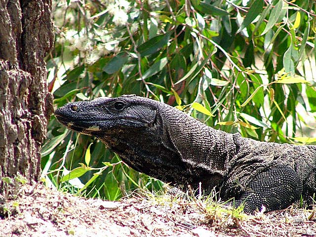 Photography by dannyom for DesignCrowd (Community Contests) | Design #9076351