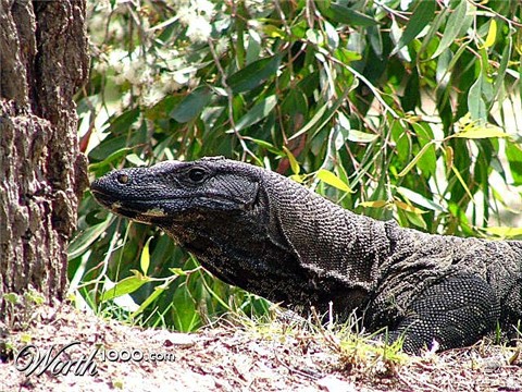 Photography by dannyom